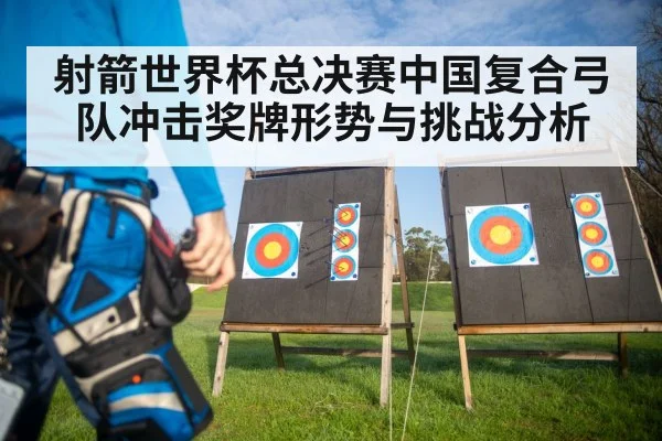 archery competition target